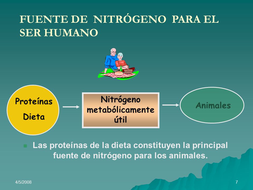 Importancia del nitrogeno en el cuerpo humano